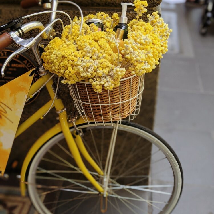 Yellow flowers in brown woven basket on bicycle 3599576