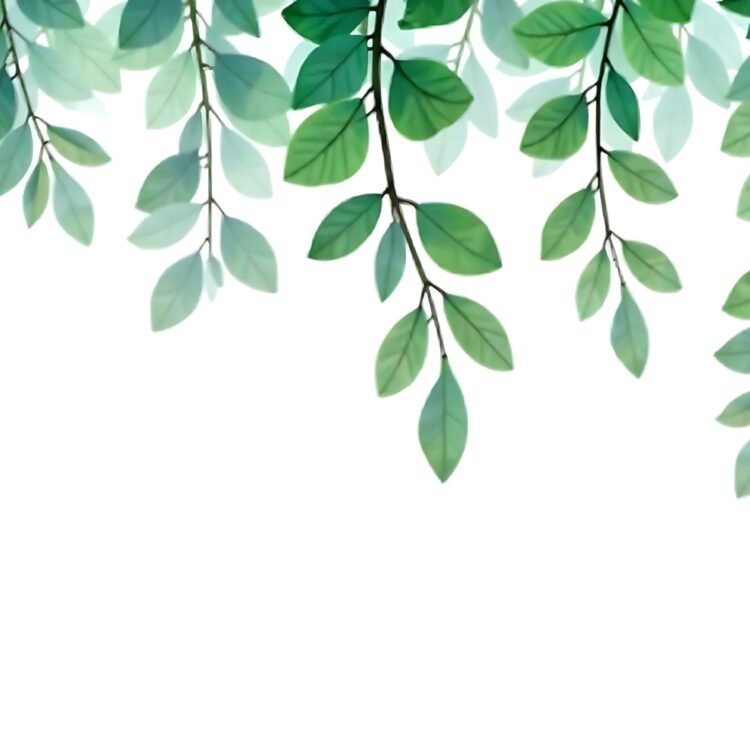 A simple green leaf pattern on a white background PNG