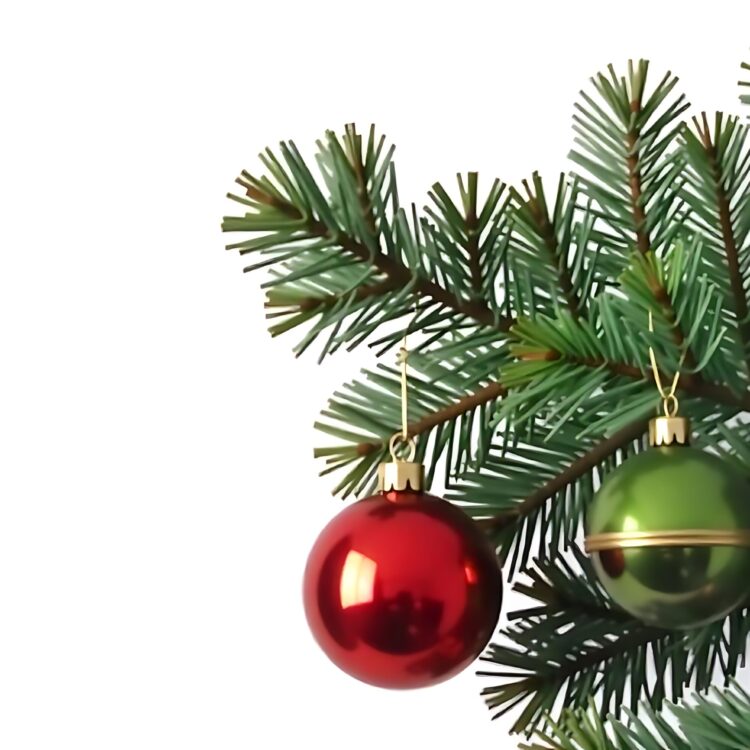 A sprig of spruce decorated with red Christmas ball isolated on white