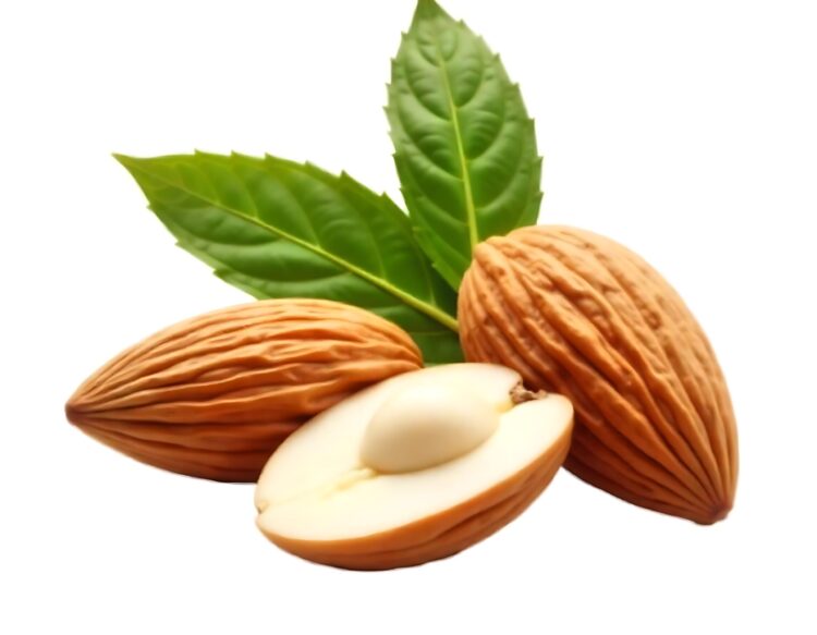 Almonds in burst shell with beautiful flower and green leaves on white background