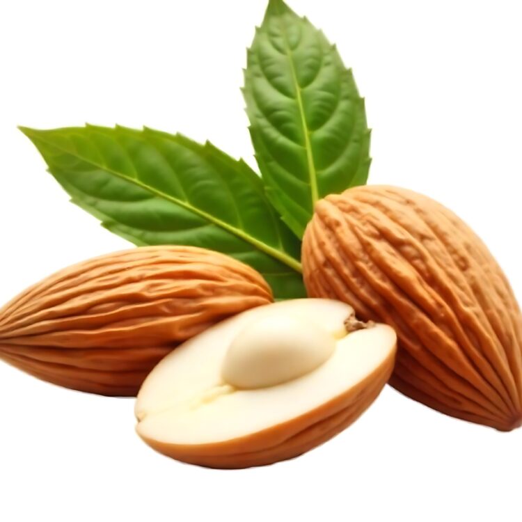 Almonds in burst shell with beautiful flower and green leaves on white background