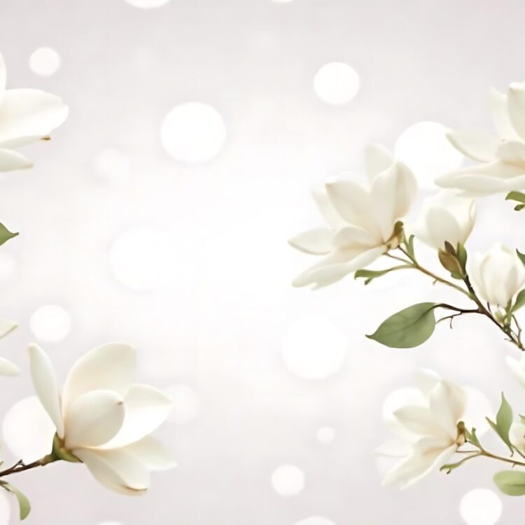 Beautiful bunch of magnolia flowers on a white backdrop