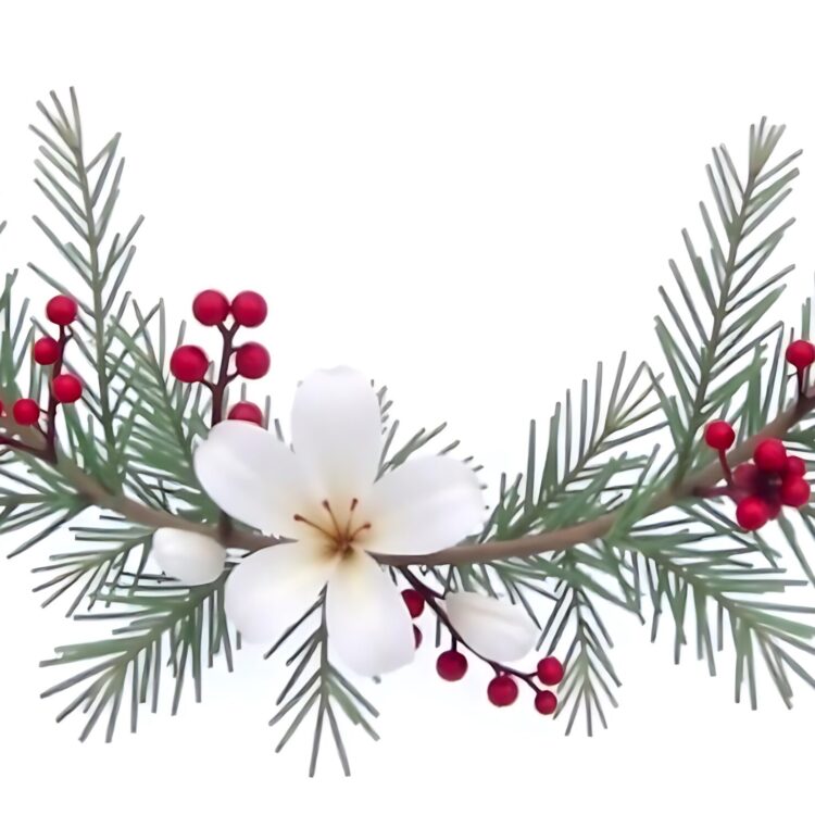 Christmas tree branches with red berries on white background Holidays decoration banner