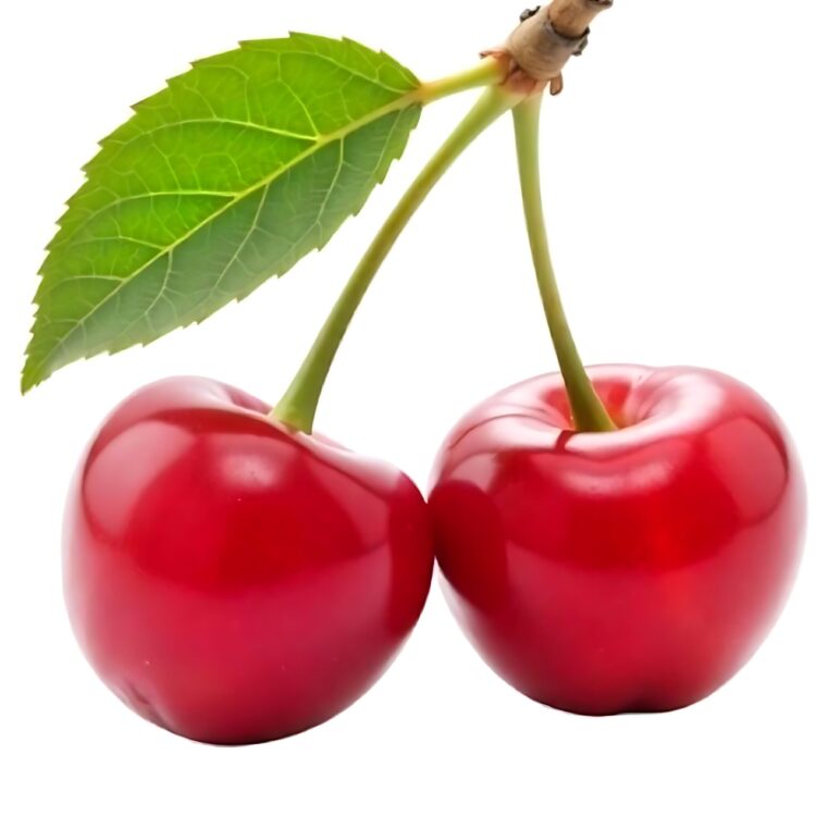 Delicious ripe sweet cherries on white background