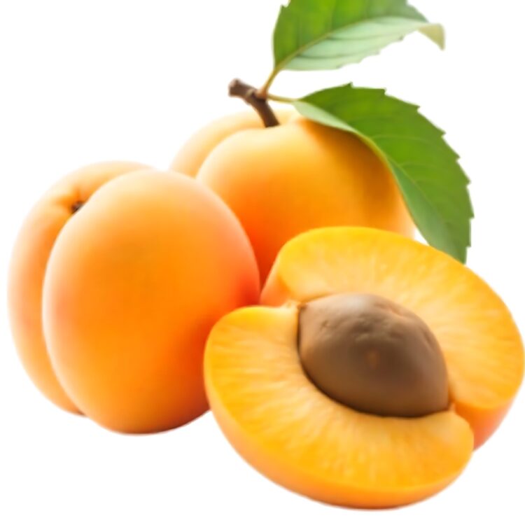 Fresh apricots isolated on white background PNG