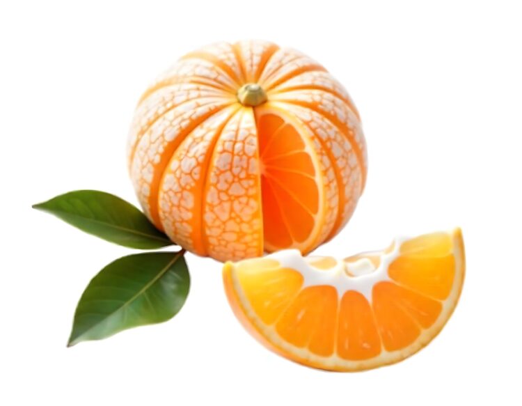 Mandarin or tangerine collection Isolated citrus fruit slices on a white backdrop Mandarin clementine and tangerine path of clipping