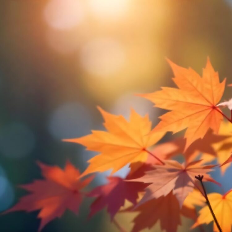 Nature background with autumn maple leaves and sun light