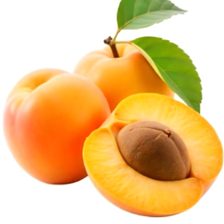 Picture Featuring A whole apricot and half of a fresh apricot isolated on a white background