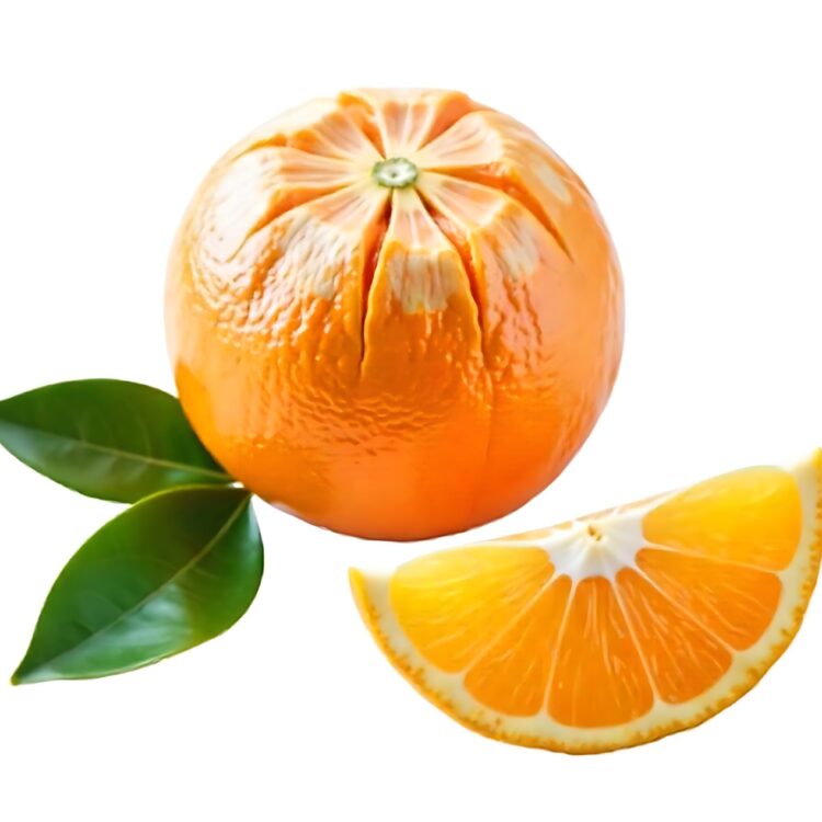 Three Tangerine or clementine with green leaf isolated with reflection on white surface PNG