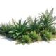 Various types of grass rendering isolated png
