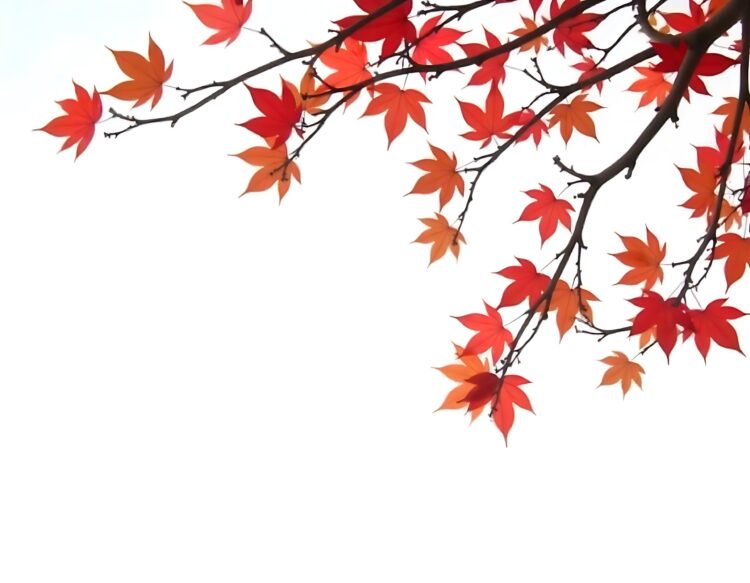 Vibrant Maple Tree Autumn Background with Falling Leaves PNG