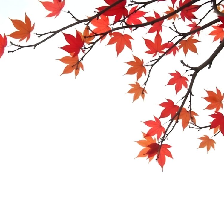 Vibrant Maple Tree Autumn Background with Falling Leaves PNG