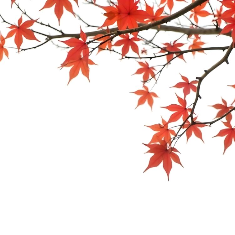 Vibrant Maple Tree Autumn Background with Falling Leaves